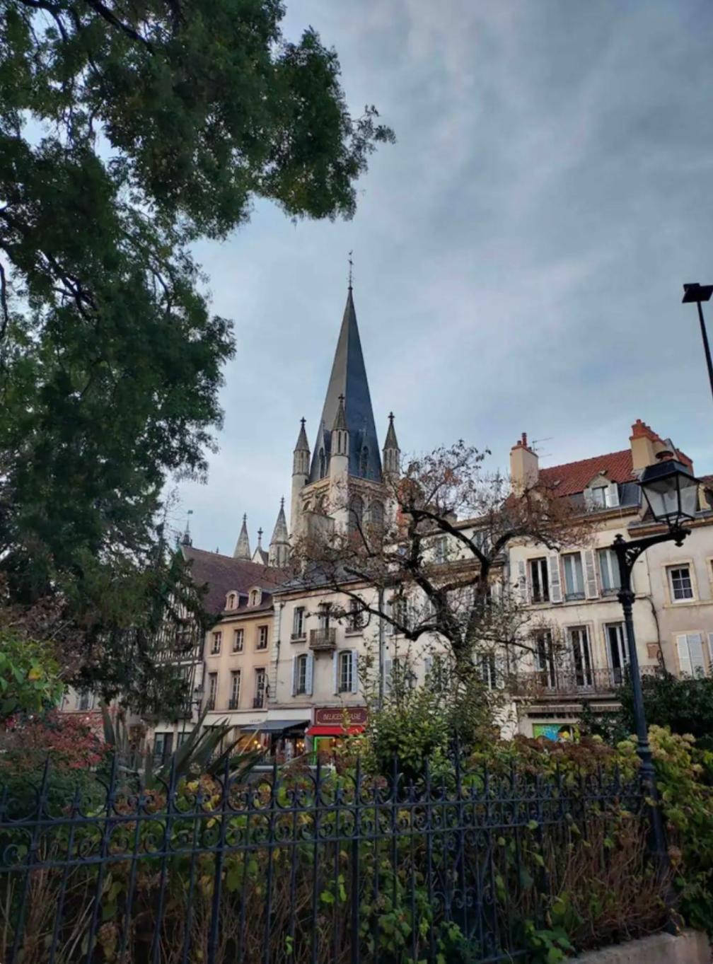 Ferienwohnung Le Charme Dubois Dijon Exterior foto